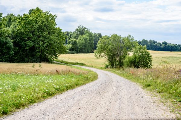 Cost of Stone Driveway Repair in Vero Beach